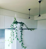 Semi Pendant Light - Lamp Outdoor