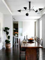 Serge Mouille Ceiling Light A - Lamp Outdoor