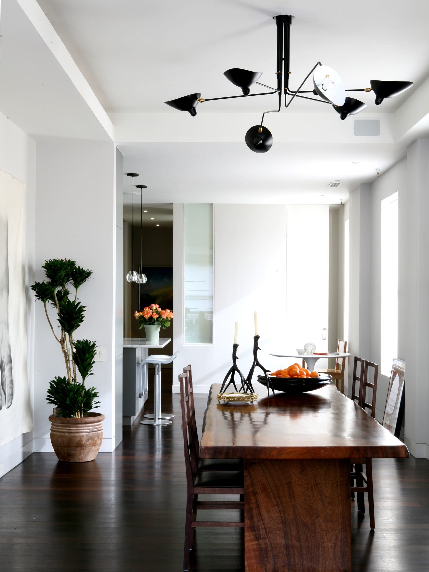 Serge Mouille Ceiling Light A - Lamp Outdoor