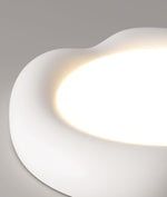 Shaped Apple Ceiling Lamp - Lamp Outdoor