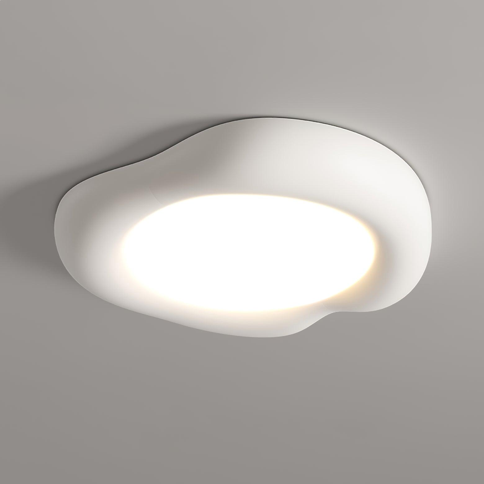 Shaped Apple Ceiling Lamp - Lamp Outdoor