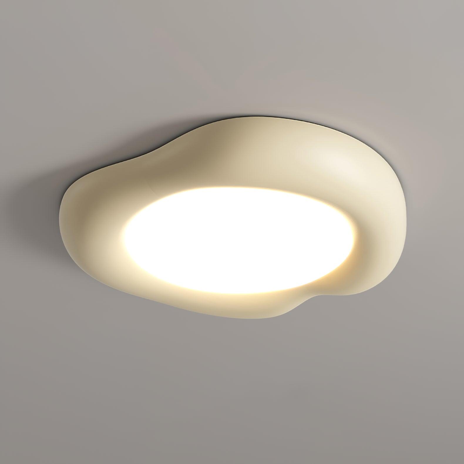 Shaped Apple Ceiling Lamp - Lamp Outdoor