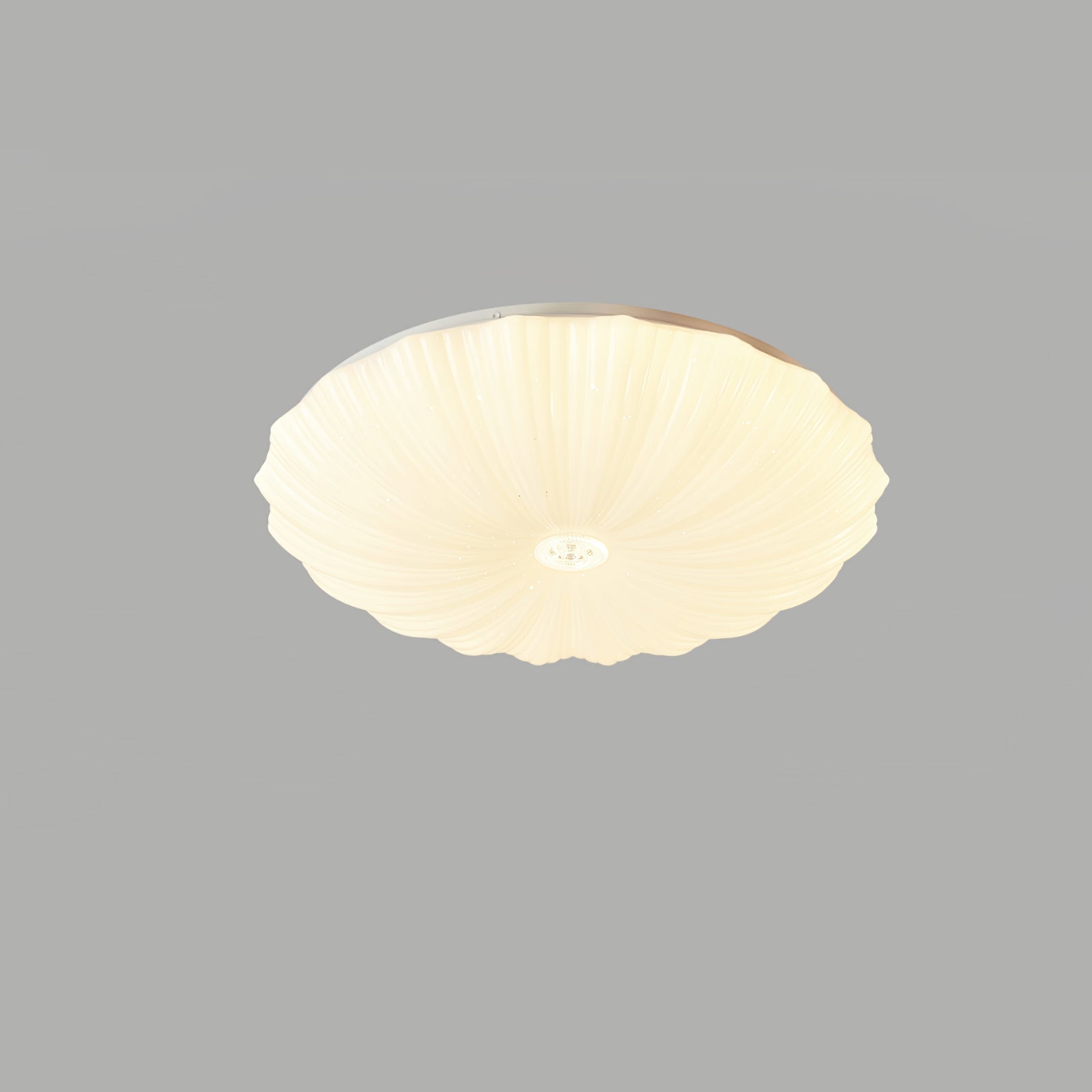 Acrylic Shell Round Ceiling Lamp - Lamp Outdoor