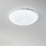 Acrylic Shell Round Ceiling Lamp - Lamp Outdoor
