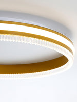 Eclipse Modern Acrylic Ceiling Light - Lamp Outdoor