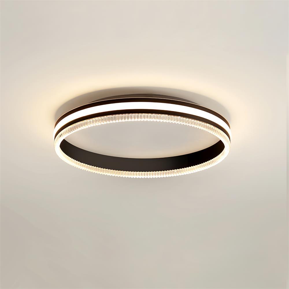 Eclipse Modern Acrylic Ceiling Light - Lamp Outdoor