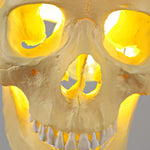 Skull Pendant Light - Lamp Outdoor