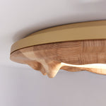 Sky Lake Ceiling Lamp - Lamp Outdoor
