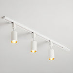 Sleek Cylinder Track Light - Lamp Outdoor