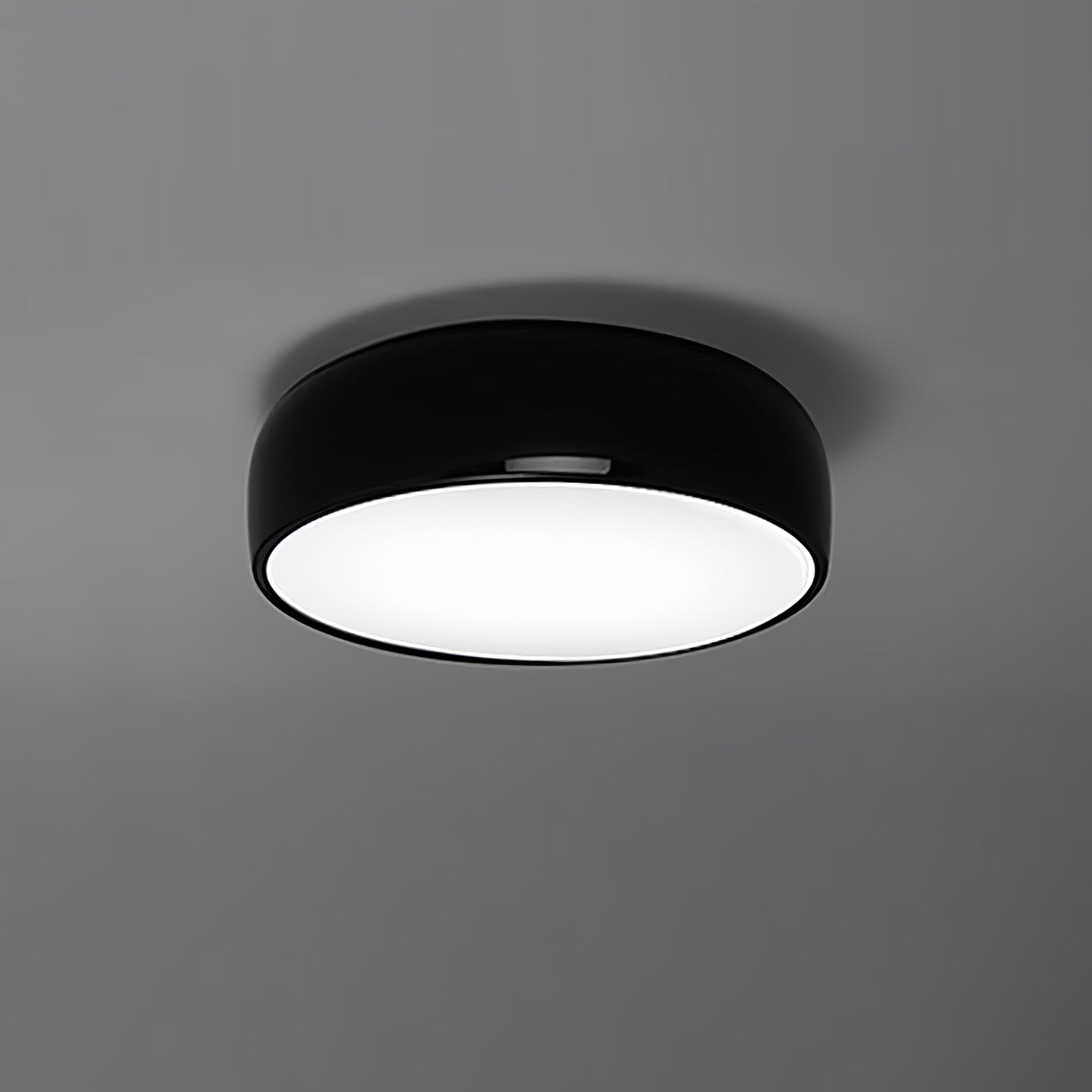 Smithfield Ceiling Light - Lamp Outdoor
