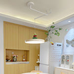 Swing Arm Stone Pendant Light - Lamp Outdoor
