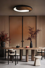 Taiyi Balance Ceiling Light - Lamp Outdoor
