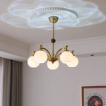 Thaddeus Radiance Chandelier - Lamp Outdoor