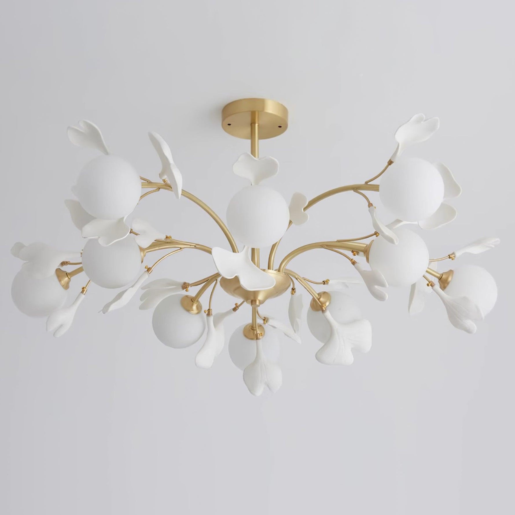 Thalassa Gingko Chandelier - Lamp Outdoor