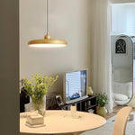 Thin Disc Pendant Lamp - Lamp Outdoor