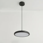 Thin Disc Pendant Lamp - Lamp Outdoor