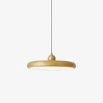 Thin Disc Pendant Lamp - Lamp Outdoor
