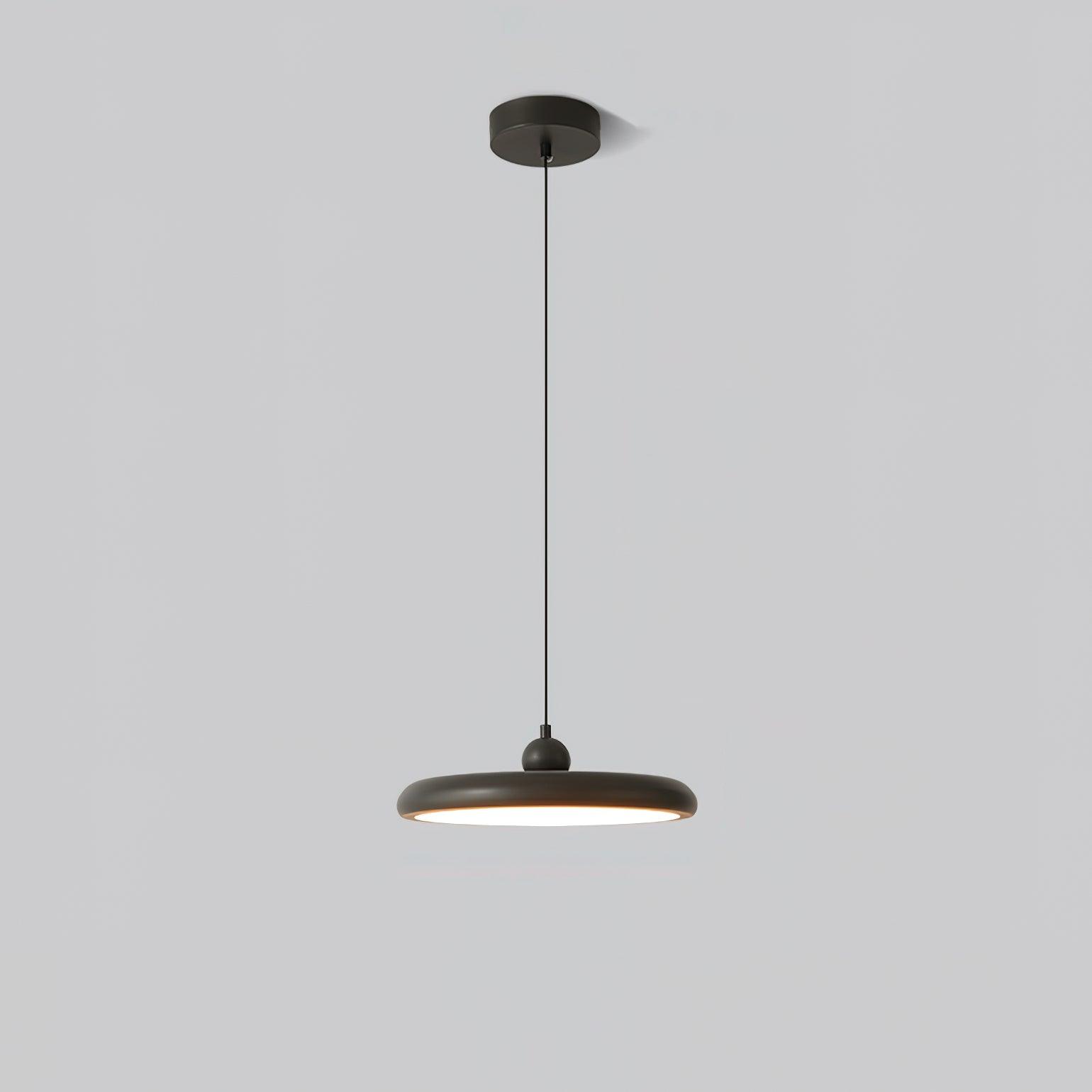 Thin Disc Pendant Lamp - Lamp Outdoor