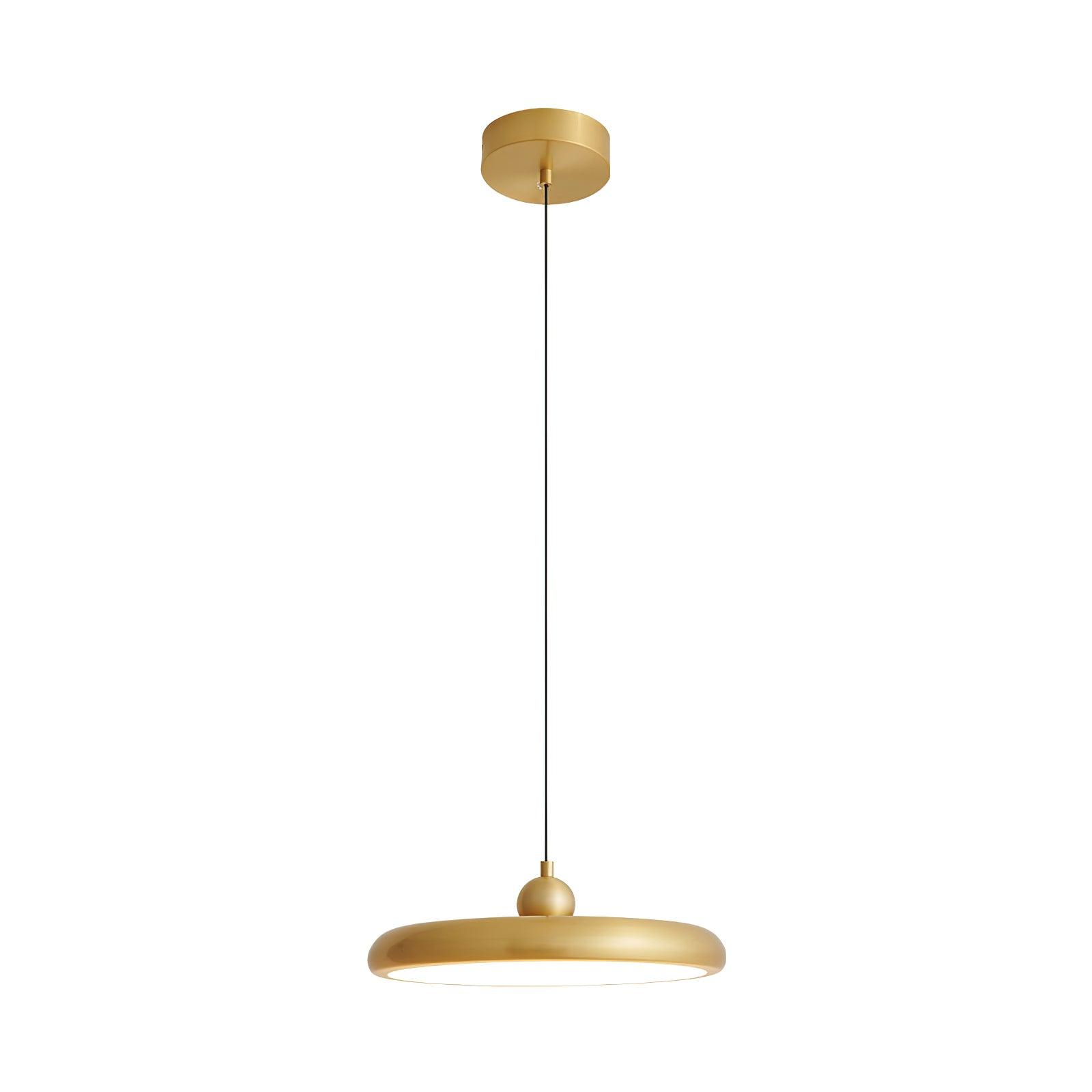 Thin Disc Pendant Lamp - Lamp Outdoor