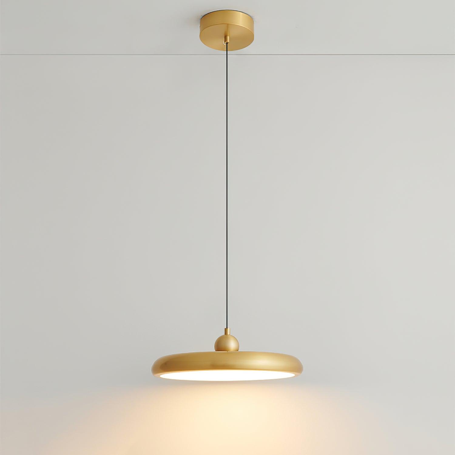 Thin Disc Pendant Lamp - Lamp Outdoor