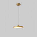 Thin Disc Pendant Lamp - Lamp Outdoor
