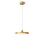 Thin Disc Pendant Lamp - Lamp Outdoor