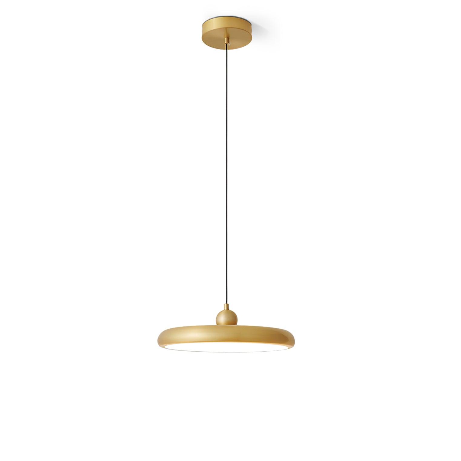 Thin Disc Pendant Lamp - Lamp Outdoor