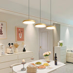 Thin Disc Pendant Lamp - Lamp Outdoor