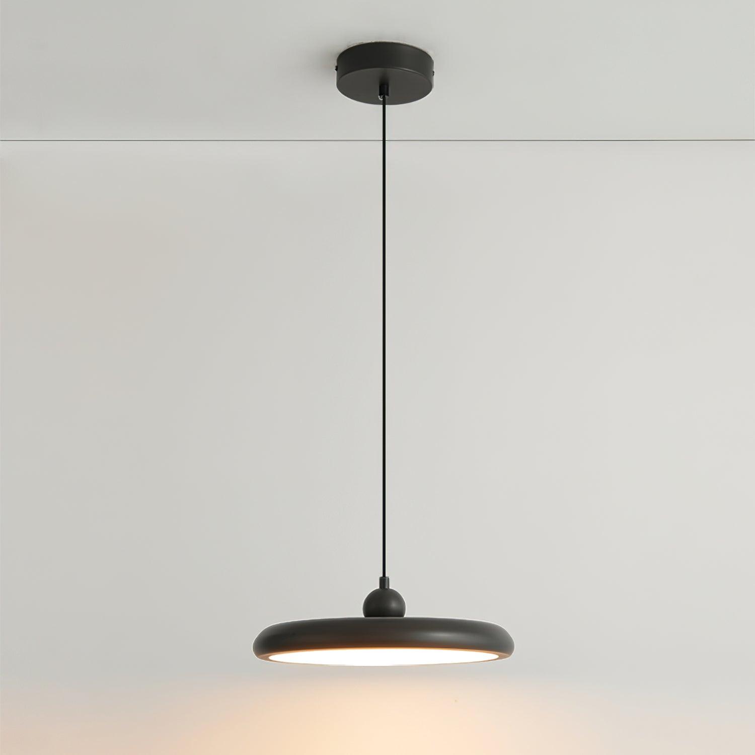 Thin Disc Pendant Lamp - Lamp Outdoor