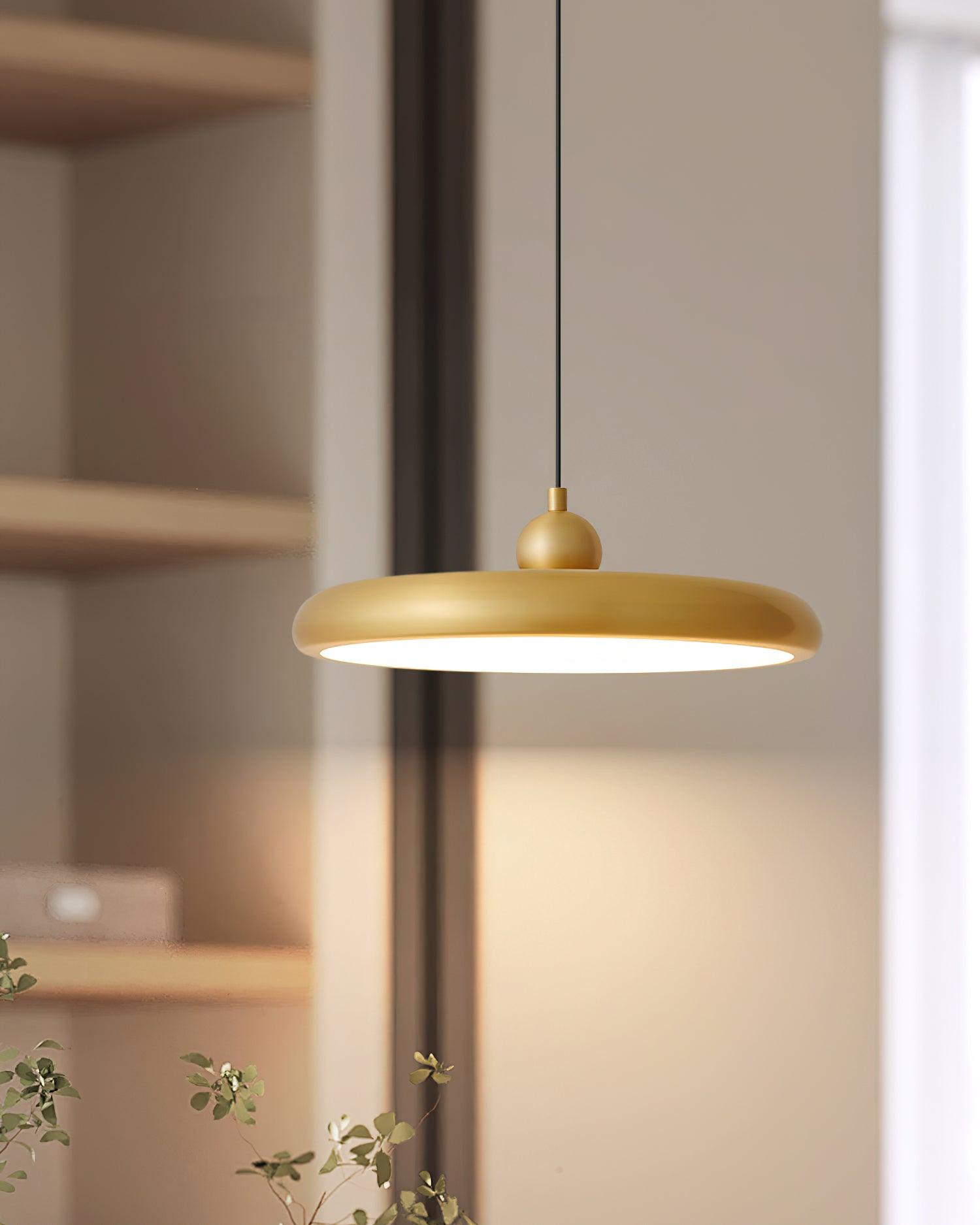 Thin Disc Pendant Lamp - Lamp Outdoor