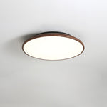 Thin Geometry Shape Ceiling Lamp - Lamp Outdoor