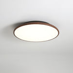 Thin Geometry Shape Ceiling Lamp - Lamp Outdoor