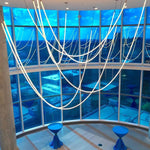 Solara Pendant Lamp Flexible Curve Silicone Brass - Letslighting