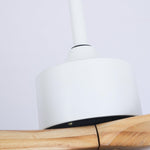 Harborough 3 Ceiling Fan Light - Lamp Outdoor