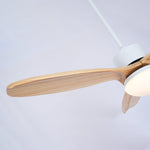 Harborough 3 Ceiling Fan Light - Lamp Outdoor
