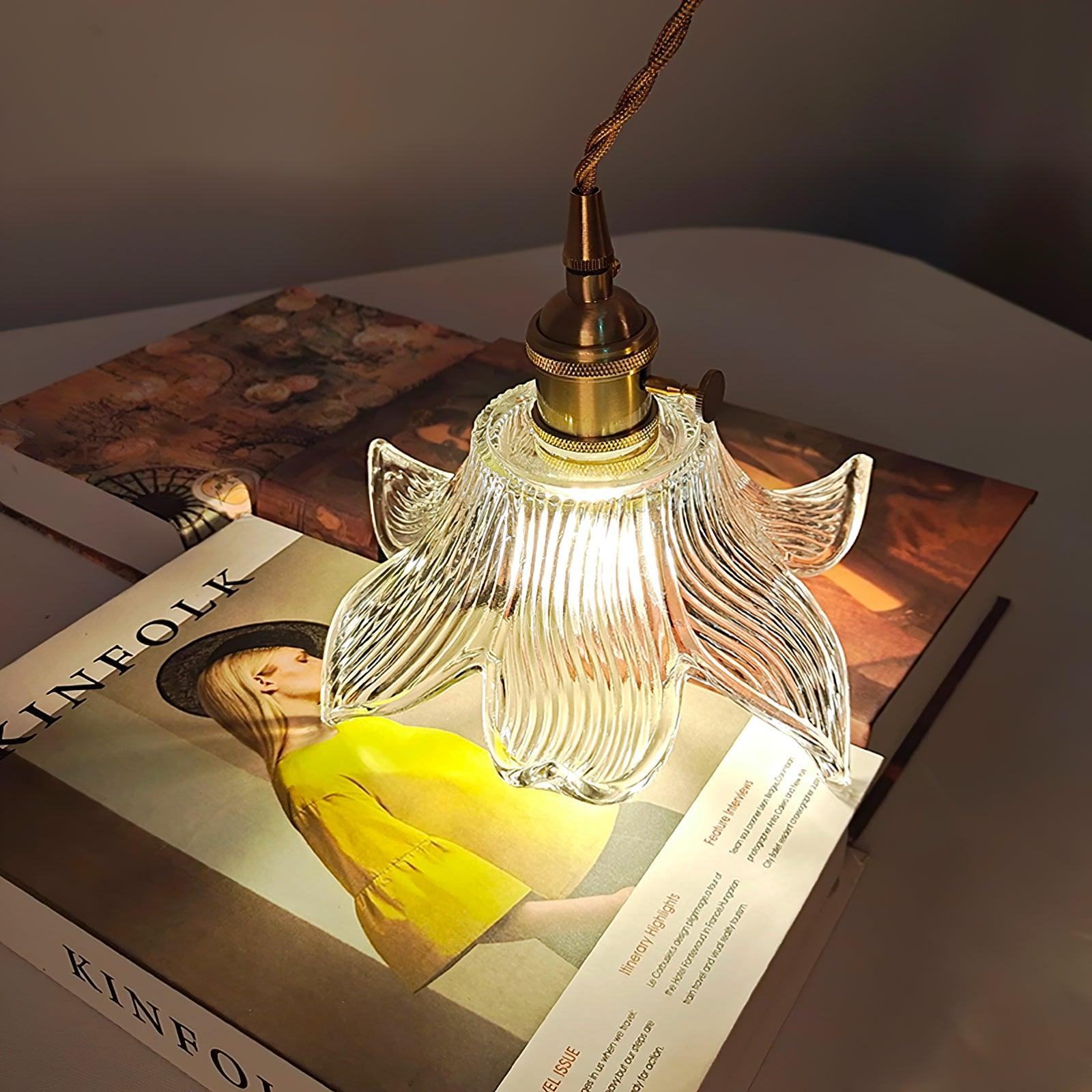 Transparent Crystal Pendant Light - Lamp Outdoor