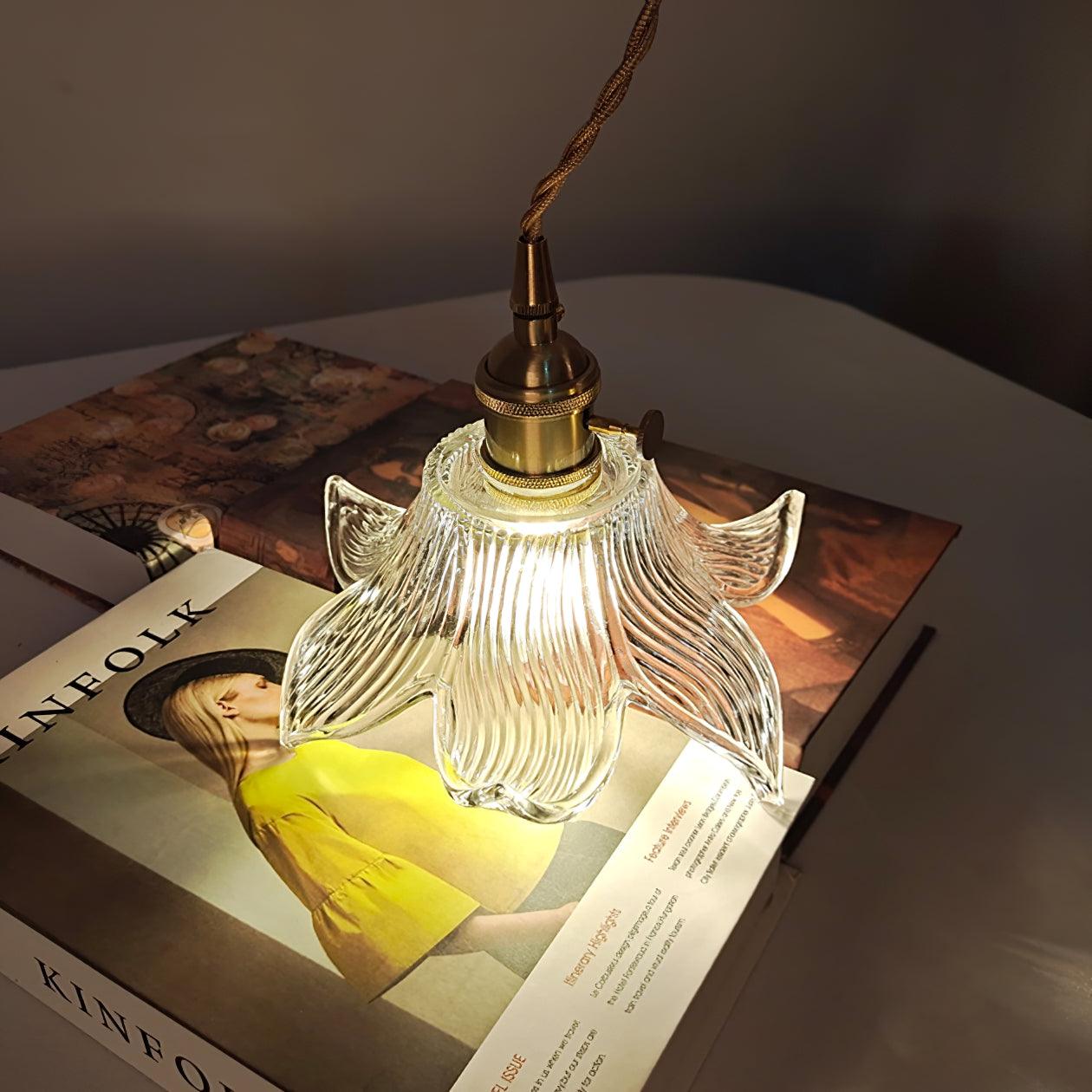 Transparent Crystal Pendant Light - Lamp Outdoor