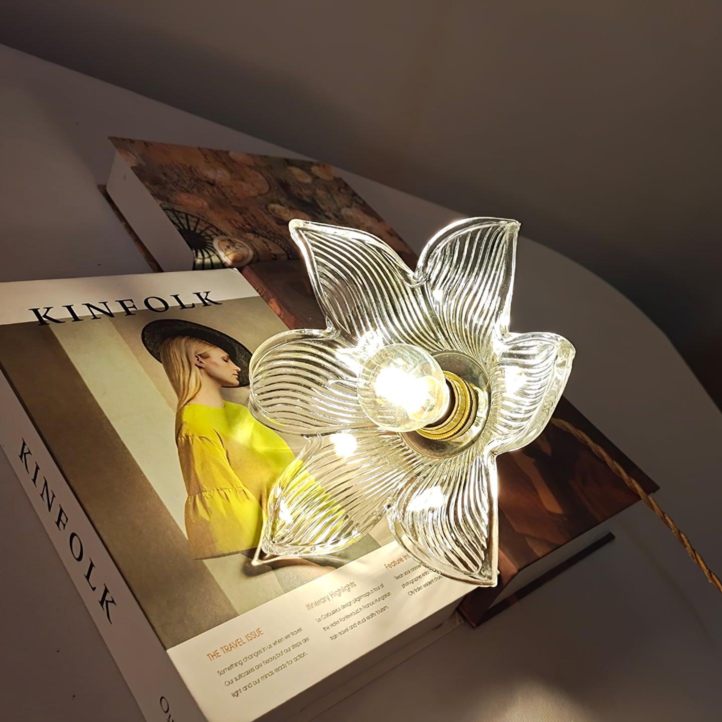 Transparent Crystal Pendant Light - Lamp Outdoor