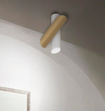 Tubes Ceiling Light - Lamp Outdoor