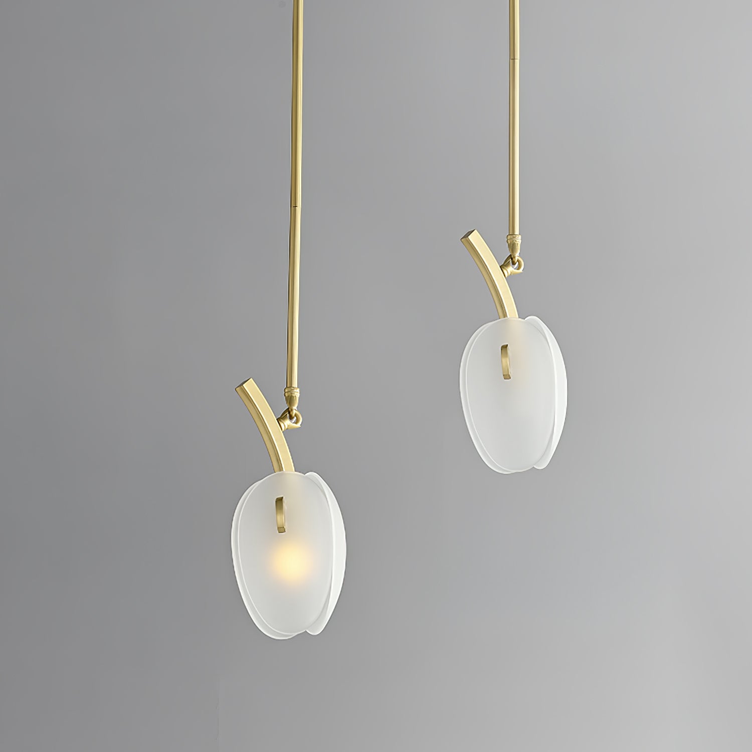 Blossom Contemporary Glass Chandelier - Lamp Outdoor