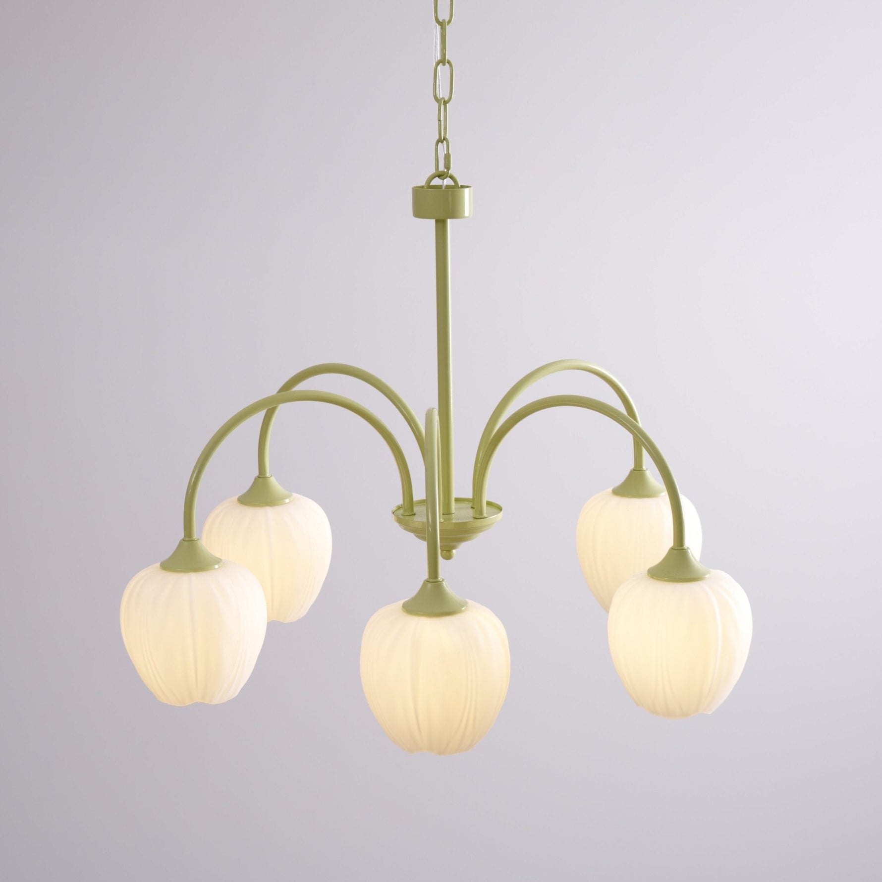 Tulip Matcha Chandelier - Lamp Outdoor