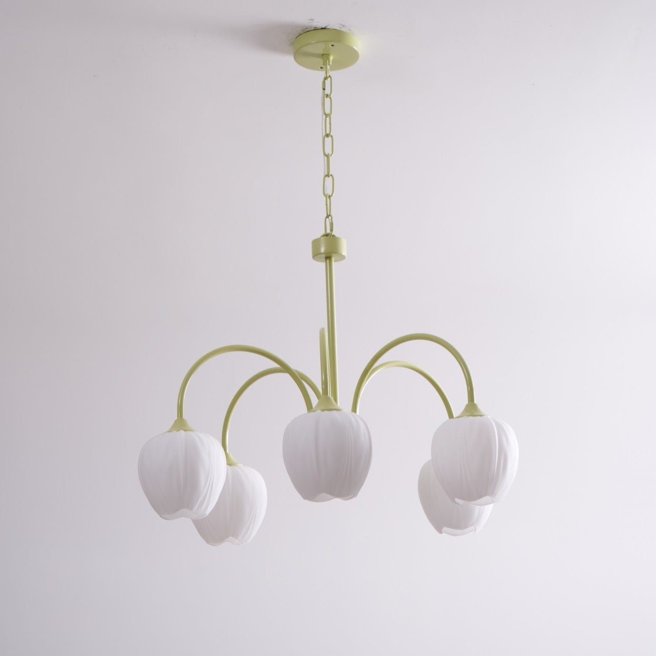 Tulip Matcha Chandelier - Lamp Outdoor