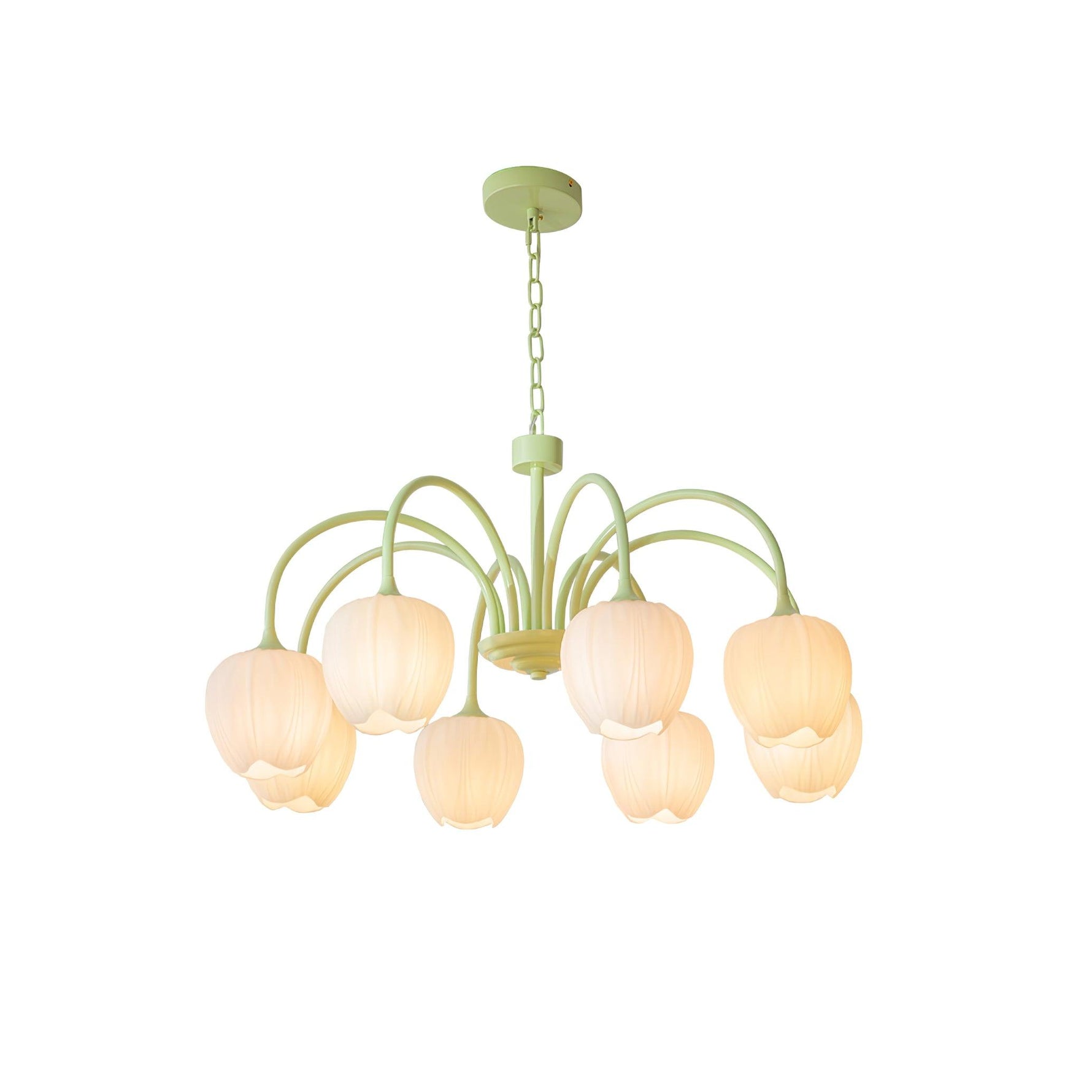 Tulip Matcha Chandelier - Lamp Outdoor