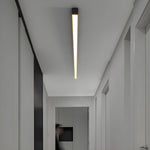 Ultra Slim Linear Ceiling Light - Lamp Outdoor
