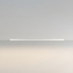 Ultra Slim Linear Ceiling Light - Lamp Outdoor