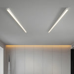 Ultra Slim Linear Ceiling Light - Lamp Outdoor