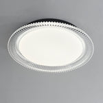 Vanguard Ceiling Light - Lamp Outdoor