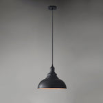 Vintage Industrial Collections Pendant Light - Lamp Outdoor