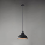 Vintage Industrial Collections Pendant Light - Lamp Outdoor