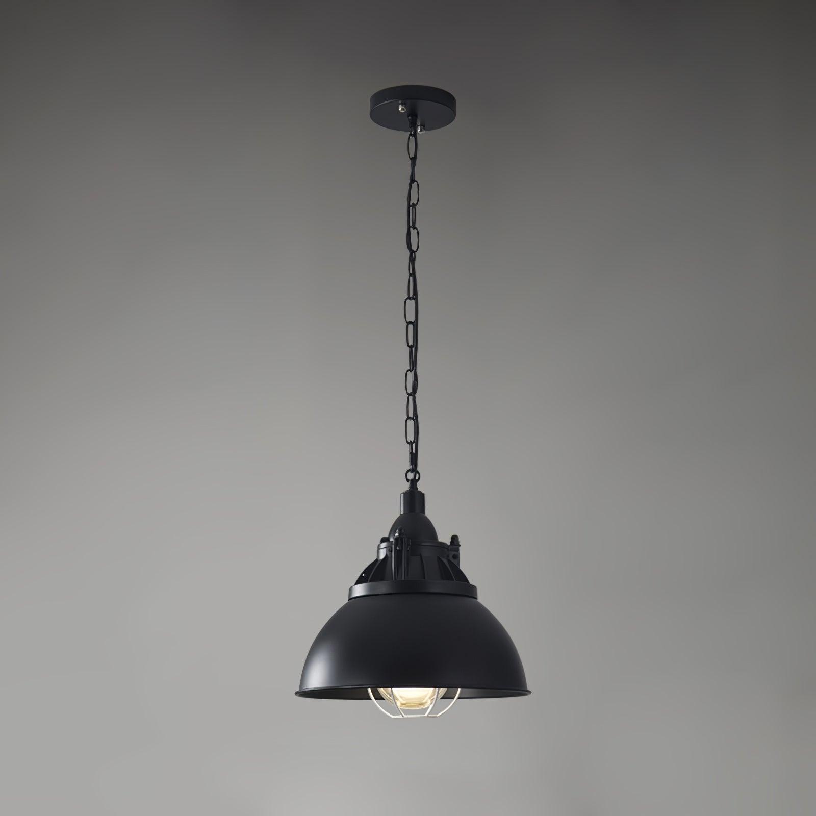 Vintage Industrial Collections Pendant Light - Lamp Outdoor